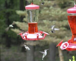 SAMUEL: A bird's-eye view